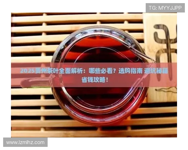 排球新手必看:轻松掌握状态技巧与训练方法的全面指南