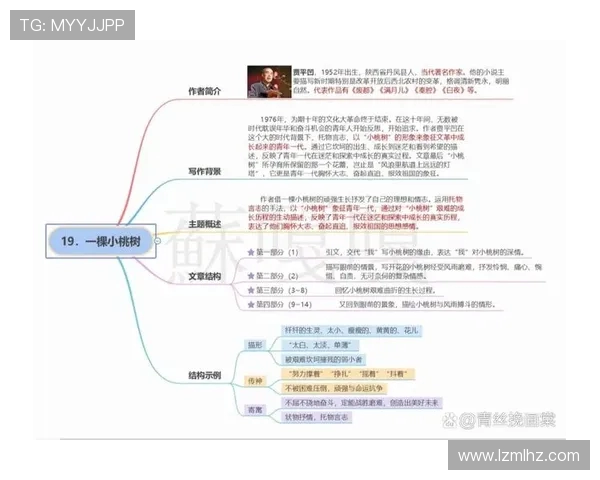 周丽专访：从排球新星到传奇教练的心路历程与成长故事