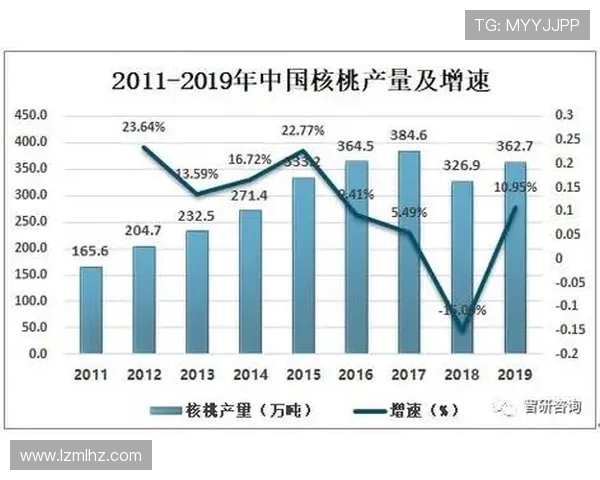 深入解析北京篮球队近期状态与表现数据分析报告